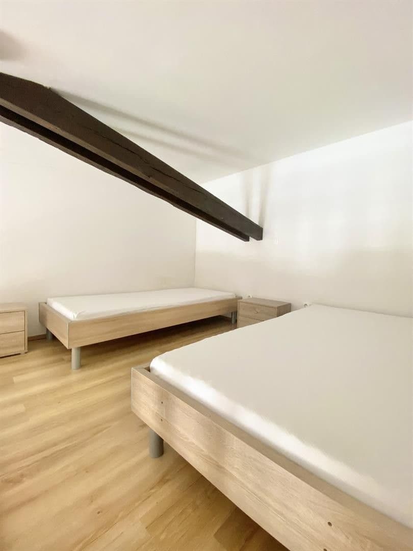 Pronájem bytu 1+kk 23 m², Mendlovo náměstí, Brno, Jihomoravský kraj Pronájem bytu 1+kk 23 m², Mendlovo náměstí, Brno, Jihomoravský kraj