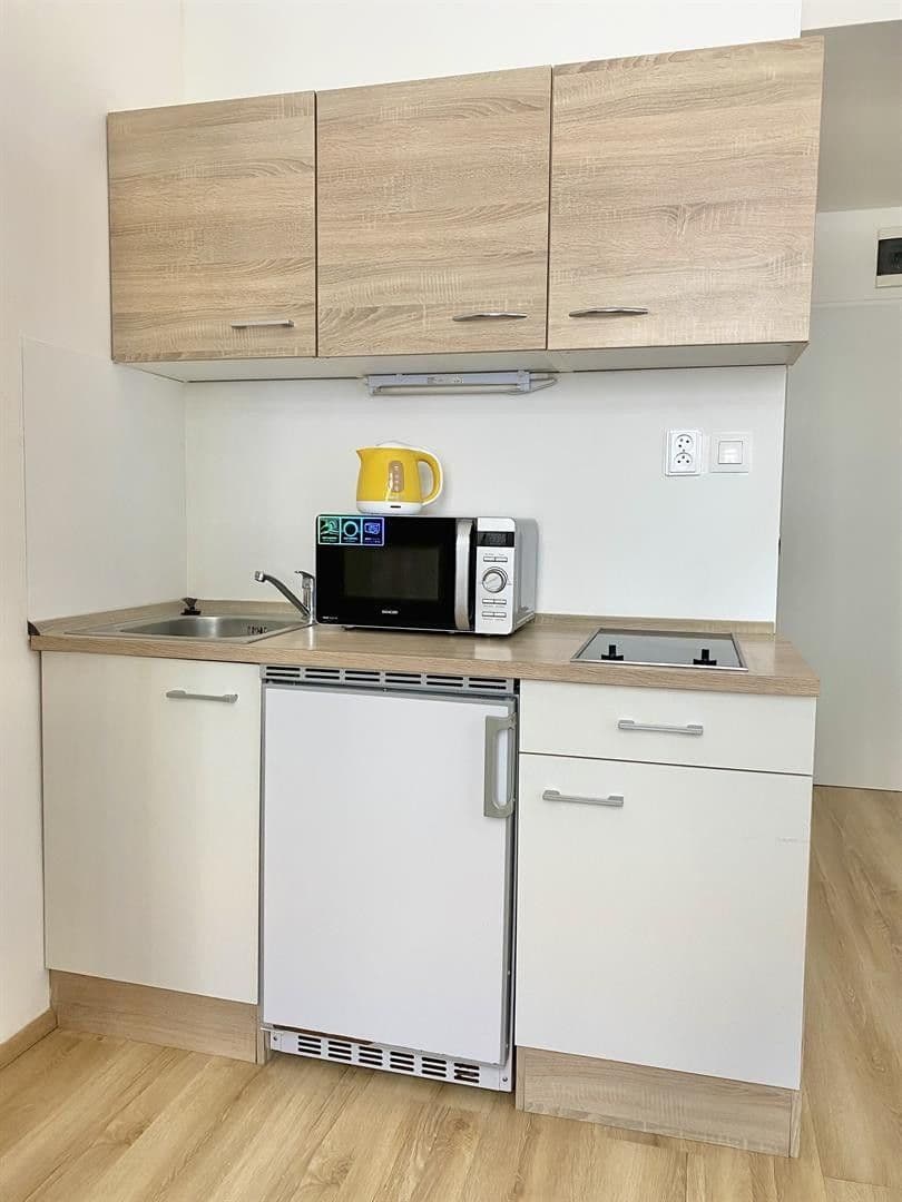 Pronájem bytu 1+kk 23 m², Mendlovo náměstí, Brno, Jihomoravský kraj Pronájem bytu 1+kk 23 m², Mendlovo náměstí, Brno, Jihomoravský kraj