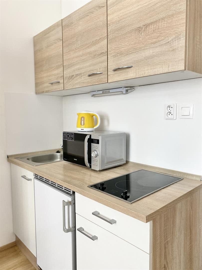 Pronájem bytu 1+kk 23 m², Mendlovo náměstí, Brno, Jihomoravský kraj Pronájem bytu 1+kk 23 m², Mendlovo náměstí, Brno, Jihomoravský kraj