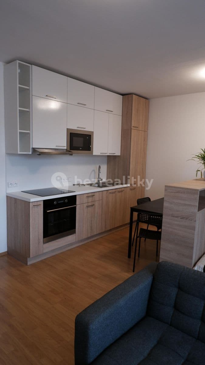 Pronájem bytu 1+kk 32 m², Božetěchova, Brno, Jihomoravský kraj Pronájem bytu 1+kk 32 m², Božetěchova, Brno, Jihomoravský kraj