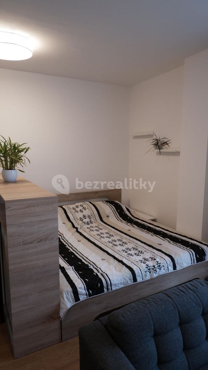 Pronájem bytu 1+kk 32 m², Božetěchova, Brno, Jihomoravský kraj Pronájem bytu 1+kk 32 m², Božetěchova, Brno, Jihomoravský kraj