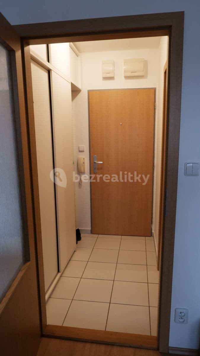 Pronájem bytu 1+kk 32 m², Božetěchova, Brno, Jihomoravský kraj Pronájem bytu 1+kk 32 m², Božetěchova, Brno, Jihomoravský kraj