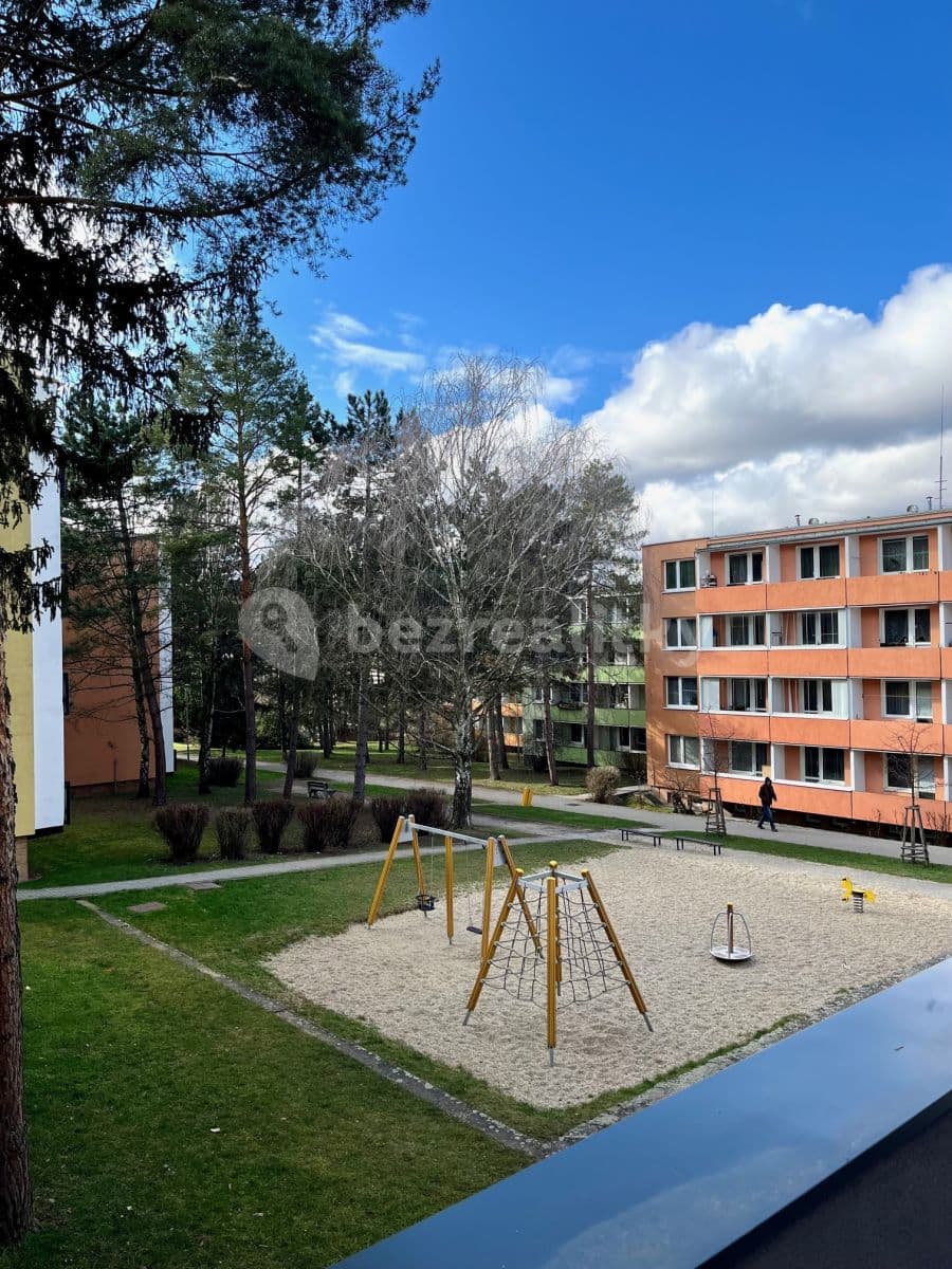 Pronájem bytu 1+kk 33 m², Zborovská, Brno, Jihomoravský kraj Pronájem bytu 1+kk 33 m², Zborovská, Brno, Jihomoravský kraj