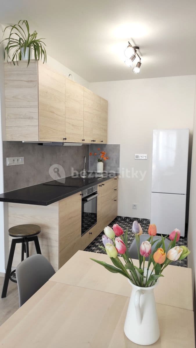 Pronájem bytu 2+kk 48 m², Františka Diviše, Praha, Praha Pronájem bytu 2+kk 48 m², Františka Diviše, Praha, Praha