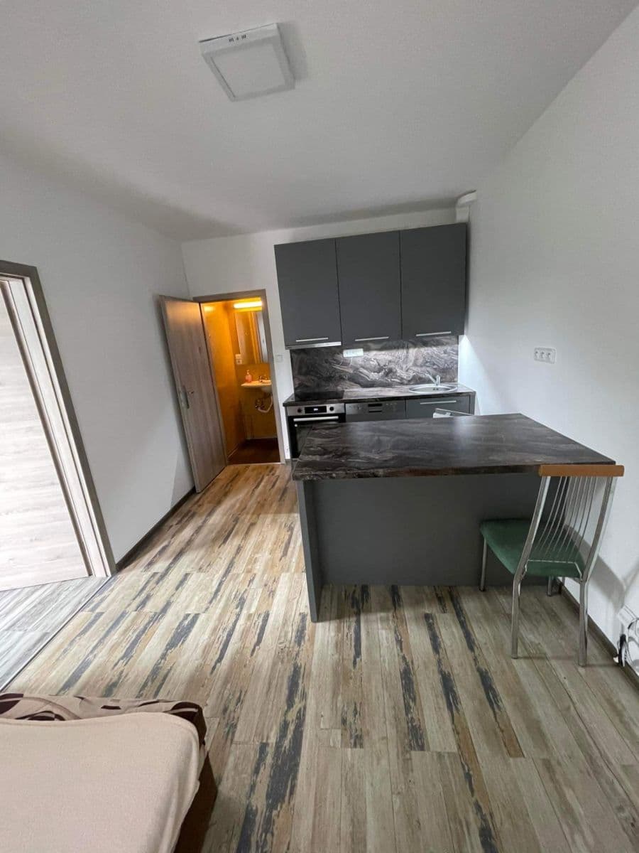 Pronájem bytu 1+kk 28 m², Netolická, Praha, Praha Pronájem bytu 1+kk 28 m², Netolická, Praha, Praha