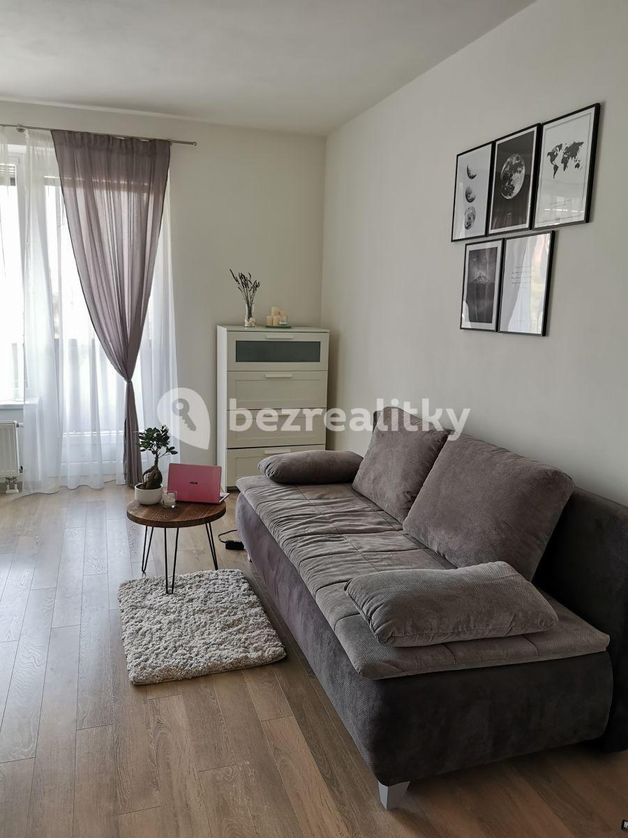 Pronájem bytu 1+kk 33 m², U Leskavy, Brno, Jihomoravský kraj