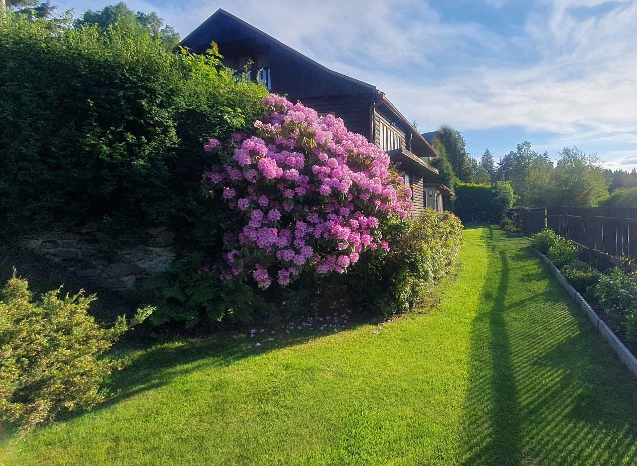 Pronájem chaty, chalupy, Sušice, Plzeňský kraj Pronájem chaty, chalupy, Sušice, Plzeňský kraj