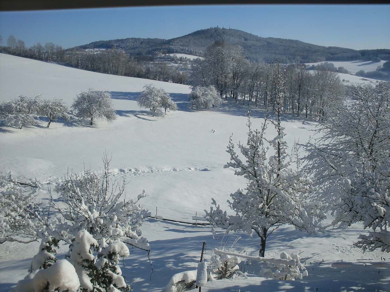 Pronájem chaty, chalupy, Petrovice u Sušice, Plzeňský kraj Pronájem chaty, chalupy, Petrovice u Sušice, Plzeňský kraj