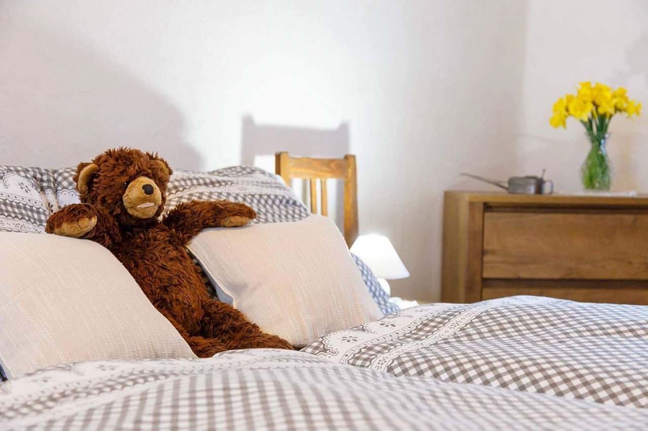 Pronájem chaty, chalupy, Svojanov, Pardubický kraj Pronájem chaty, chalupy, Svojanov, Pardubický kraj