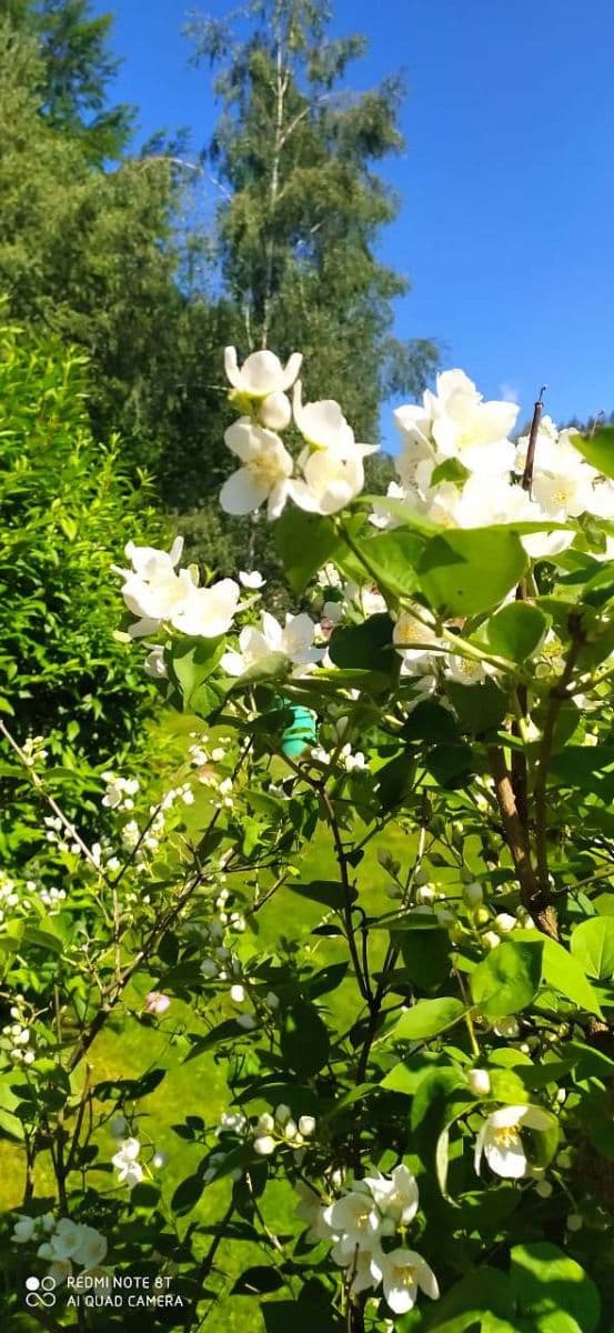 Pronájem chaty, chalupy, Prostřední Bečva, Zlínský kraj Pronájem chaty, chalupy, Prostřední Bečva, Zlínský kraj