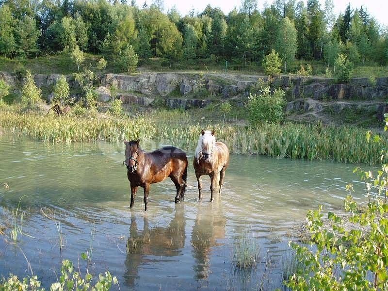 Pronájem chaty, chalupy, Bojkovice, Zlínský kraj Pronájem chaty, chalupy, Bojkovice, Zlínský kraj