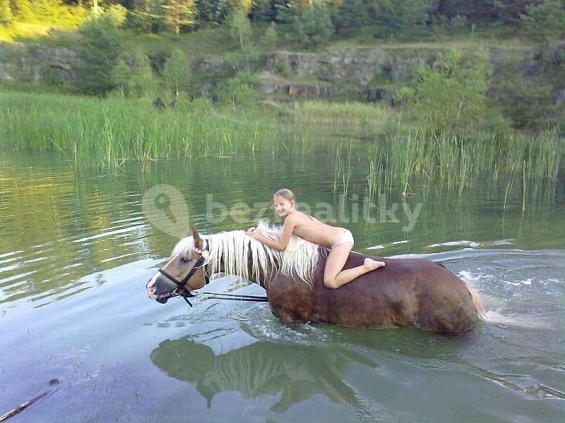 Pronájem chaty, chalupy, Bojkovice, Zlínský kraj Pronájem chaty, chalupy, Bojkovice, Zlínský kraj
