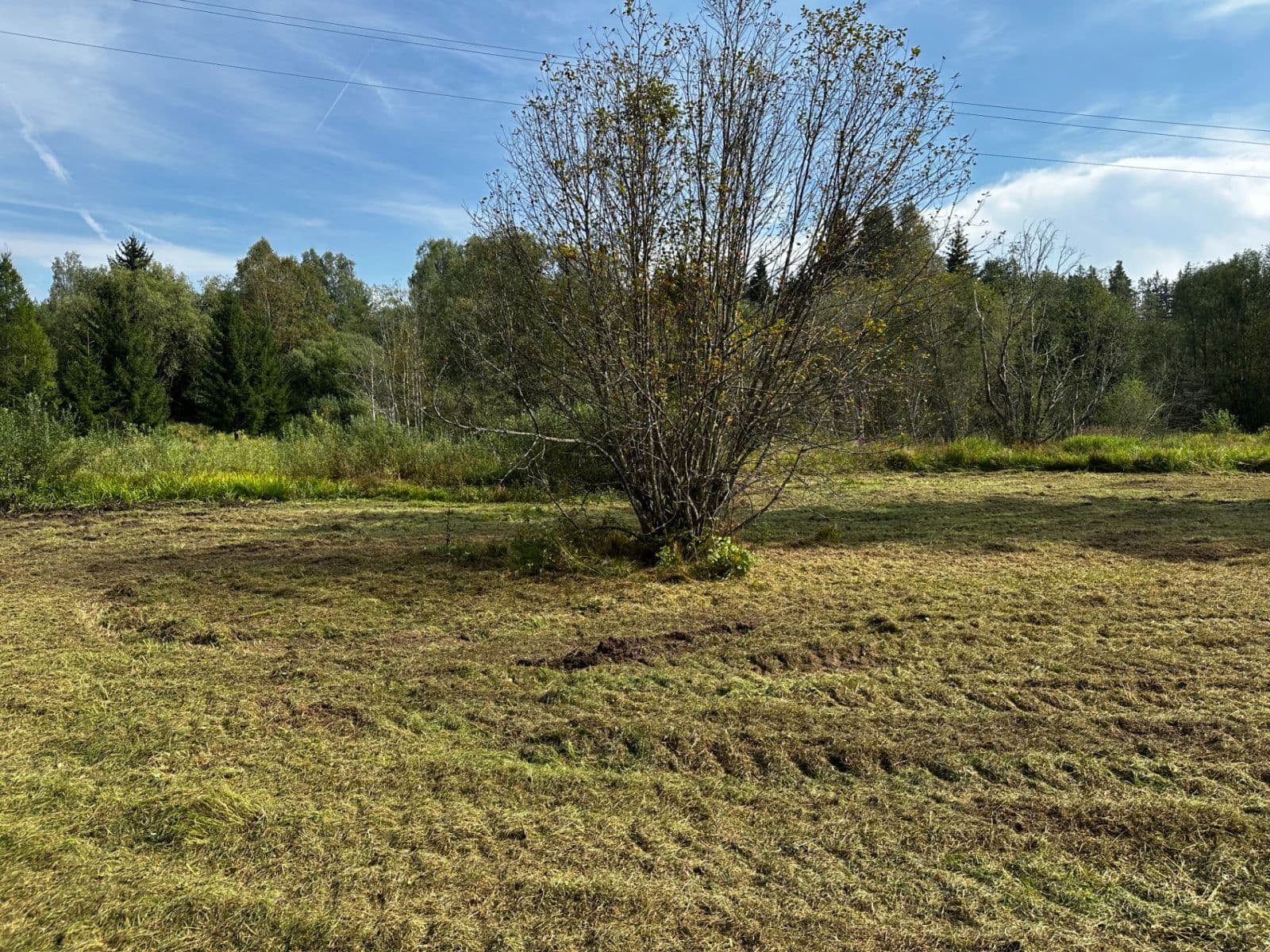 Prodej pozemku 8.518 m², Nová Pec, Jihočeský kraj Prodej pozemku 8.518 m², Nová Pec, Jihočeský kraj