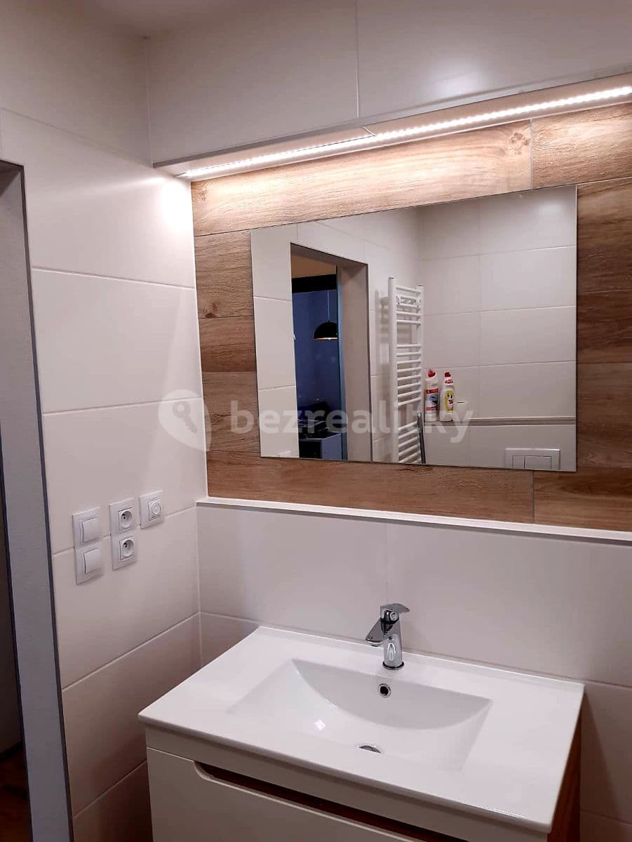 Pronájem bytu 1+kk 37 m², U Velkého rybníka, Plzeň, Plzeňský kraj Pronájem bytu 1+kk 37 m², U Velkého rybníka, Plzeň, Plzeňský kraj