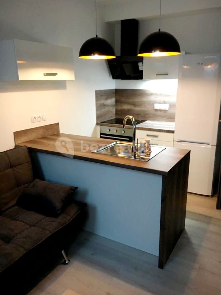 Pronájem bytu 1+kk 37 m², U Velkého rybníka, Plzeň, Plzeňský kraj Pronájem bytu 1+kk 37 m², U Velkého rybníka, Plzeň, Plzeňský kraj