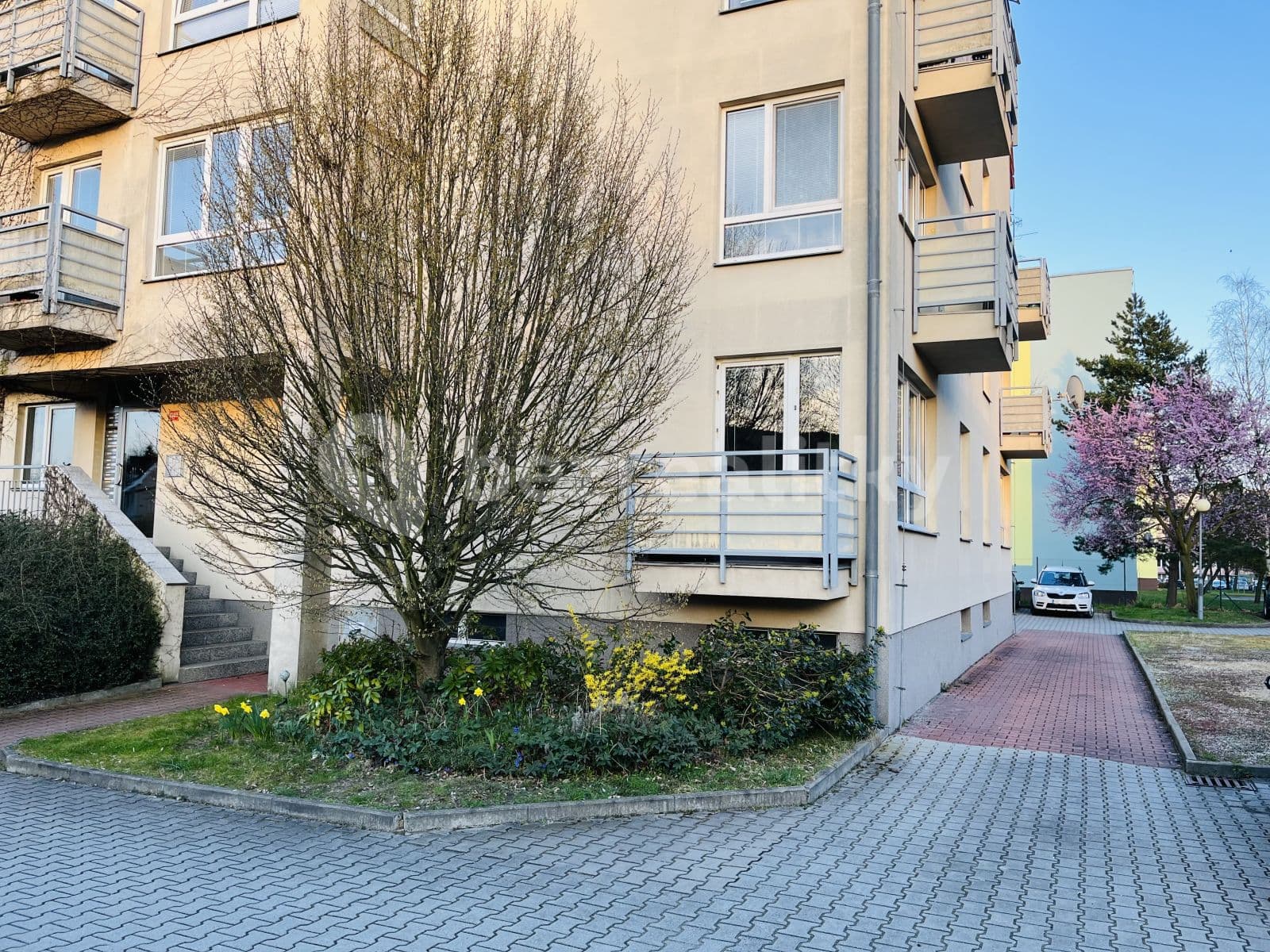 Pronájem bytu 1+kk 46 m², Svojsíkova, Mladá Boleslav, Středočeský kraj Pronájem bytu 1+kk 46 m², Svojsíkova, Mladá Boleslav, Středočeský kraj