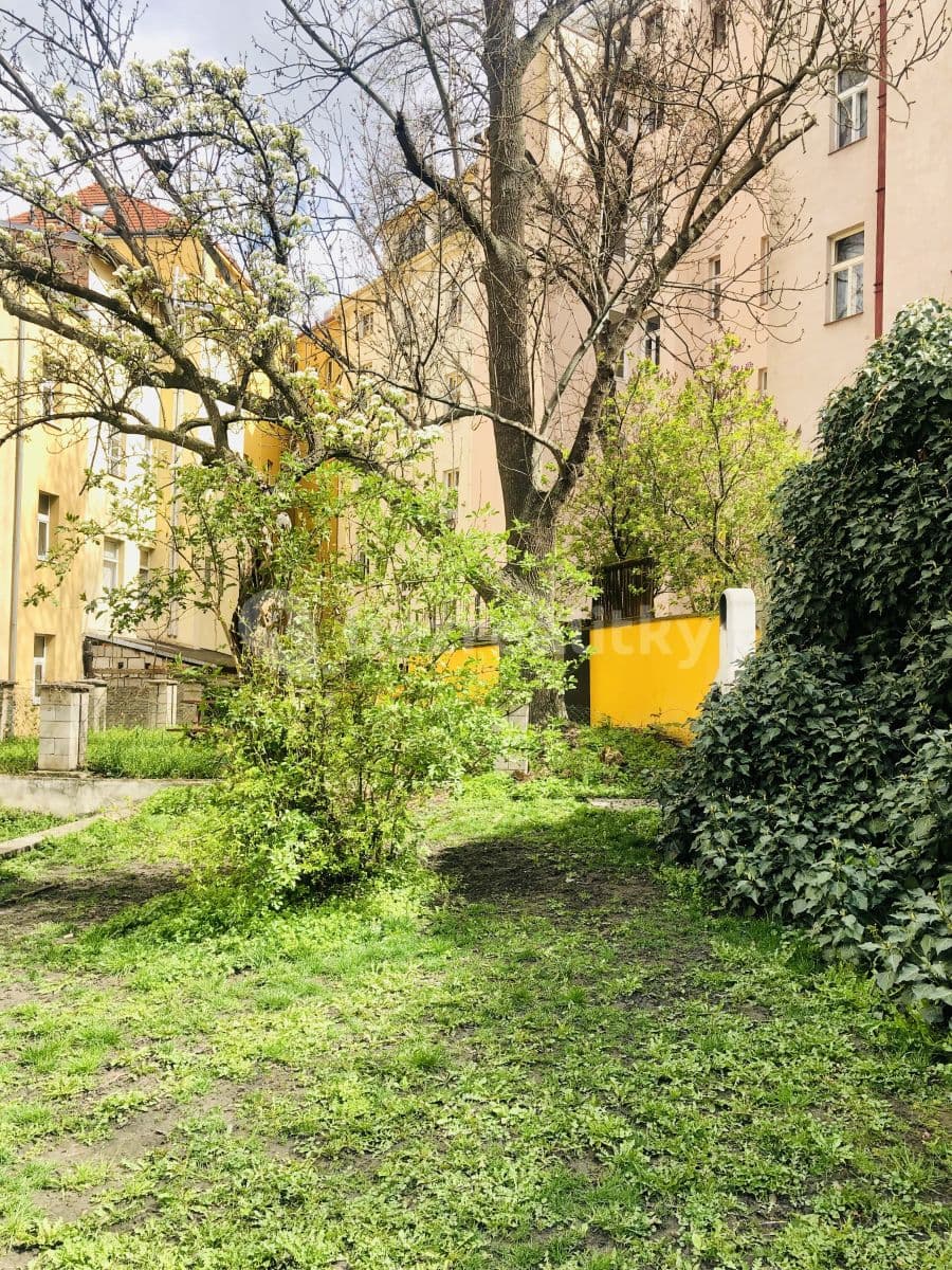Pronájem bytu 1+kk 30 m², Bořivojova, Praha, Praha Pronájem bytu 1+kk 30 m², Bořivojova, Praha, Praha