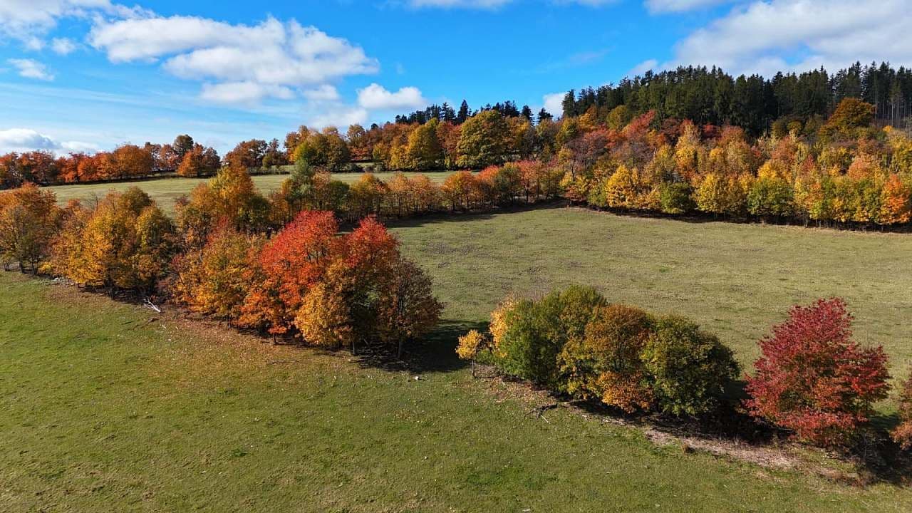 Pronájem chaty, chalupy, Dolní Moravice, Moravskoslezský kraj Pronájem chaty, chalupy, Dolní Moravice, Moravskoslezský kraj