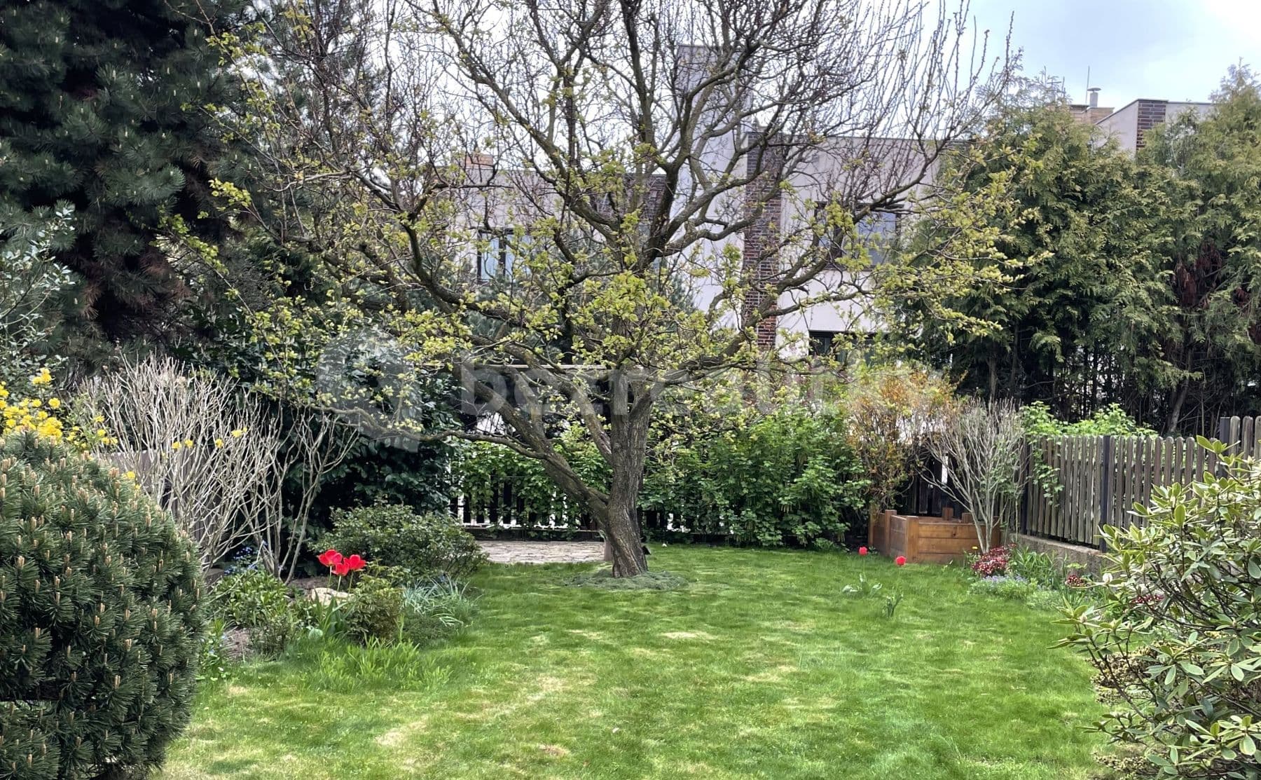 Pronájem bytu 1+1 30 m², Staňkova, Praha, Praha Pronájem bytu 1+1 30 m², Staňkova, Praha, Praha