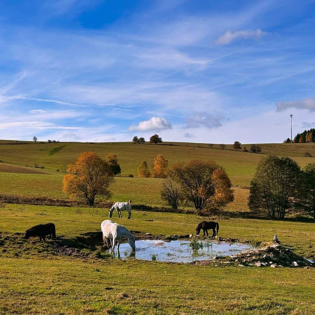 Pronájem chaty, chalupy, Malá Morava, Olomoucký kraj Pronájem chaty, chalupy, Malá Morava, Olomoucký kraj