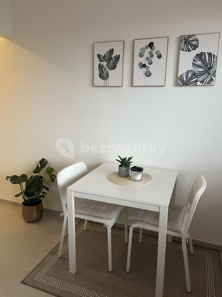 Pronájem bytu 1+1 37 m², Staňkova, Ostrava, Moravskoslezský kraj Pronájem bytu 1+1 37 m², Staňkova, Ostrava, Moravskoslezský kraj