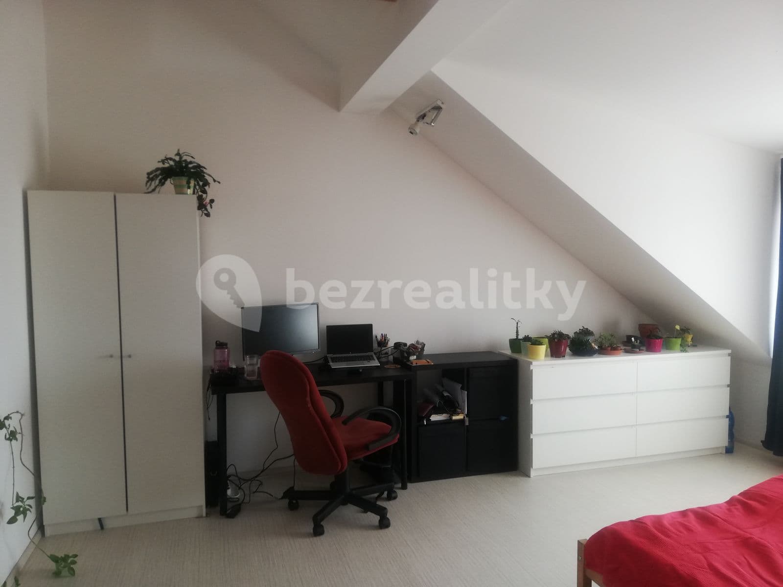 Pronájem bytu 68 m², Zemědělská, Brno, Jihomoravský kraj Pronájem bytu 68 m², Zemědělská, Brno, Jihomoravský kraj