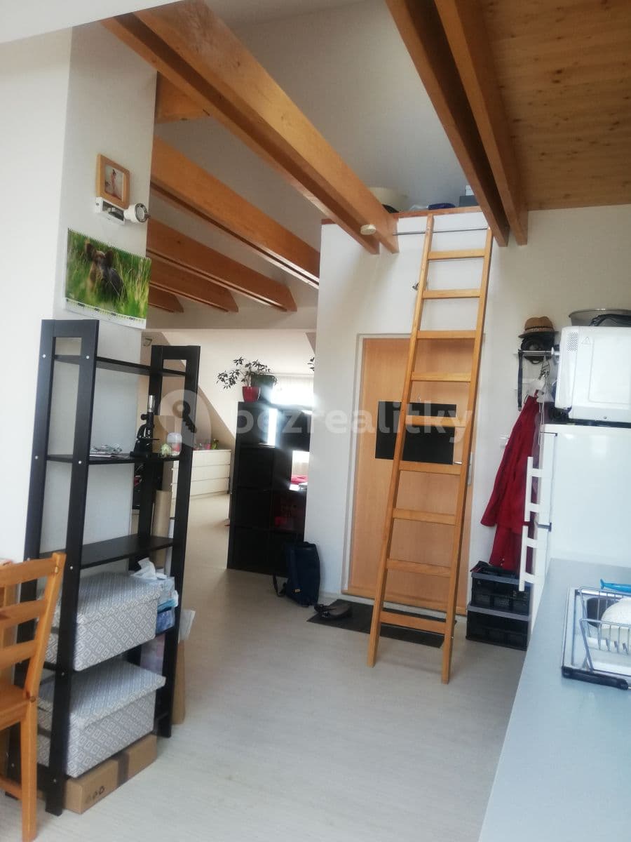 Pronájem bytu 68 m², Zemědělská, Brno, Jihomoravský kraj Pronájem bytu 68 m², Zemědělská, Brno, Jihomoravský kraj