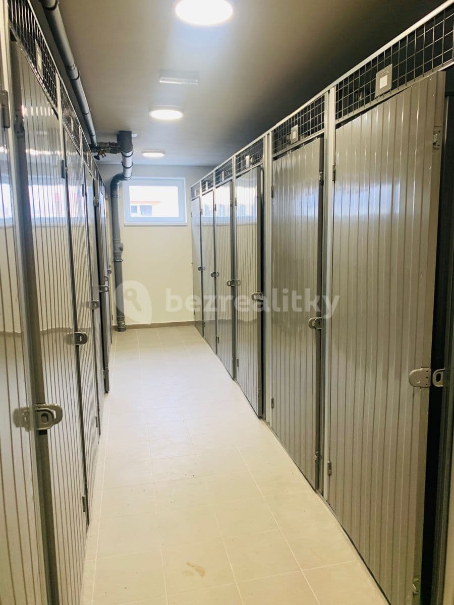 Pronájem bytu 1+kk 30 m², Armádní, Milovice, Středočeský kraj Pronájem bytu 1+kk 30 m², Armádní, Milovice, Středočeský kraj
