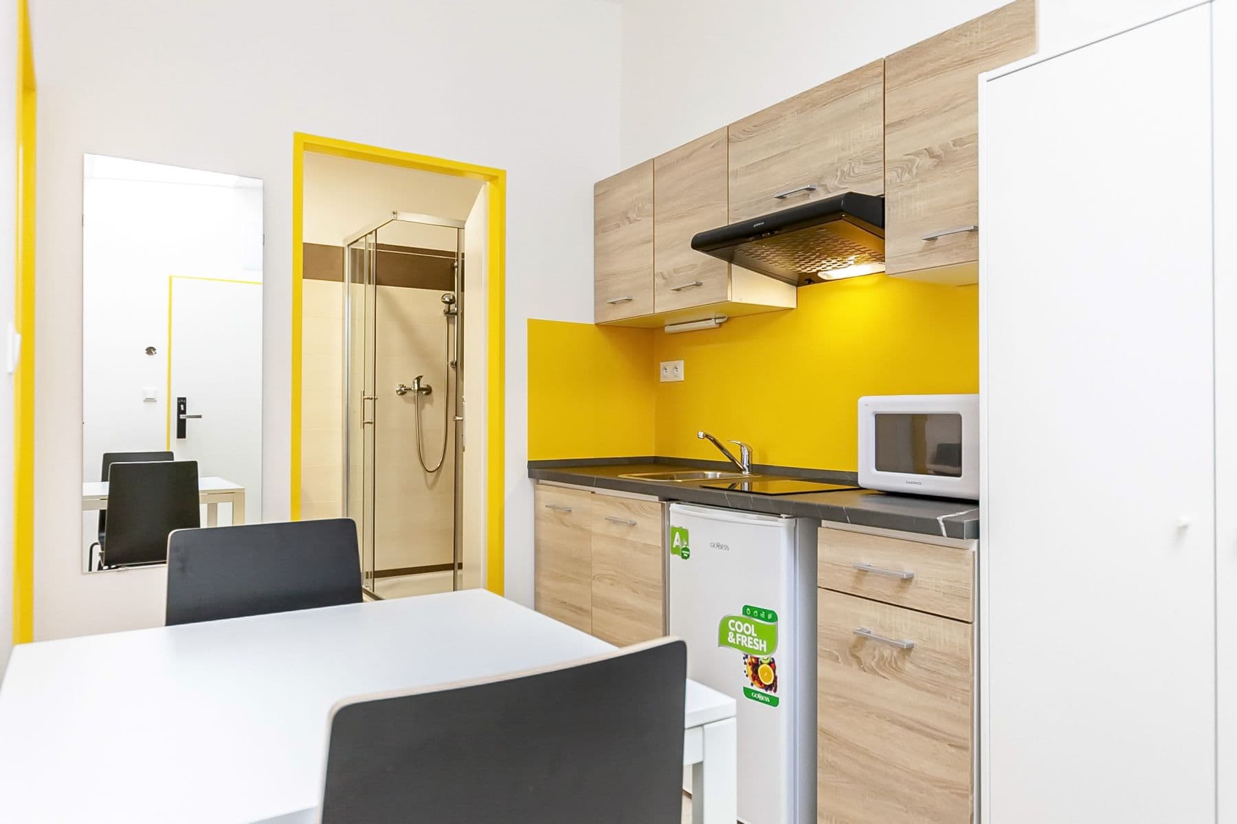 Pronájem bytu 2+1 31 m², Václavská, Brno, Jihomoravský kraj Pronájem bytu 2+1 31 m², Václavská, Brno, Jihomoravský kraj