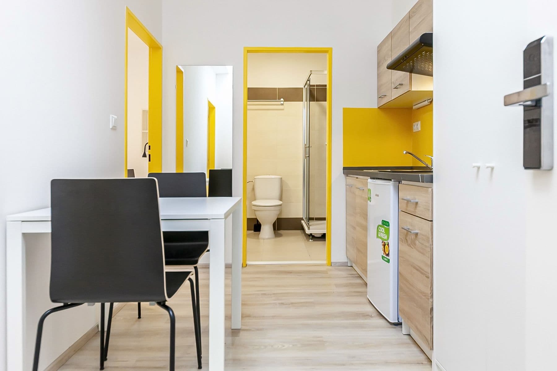 Pronájem bytu 2+1 31 m², Václavská, Brno, Jihomoravský kraj Pronájem bytu 2+1 31 m², Václavská, Brno, Jihomoravský kraj