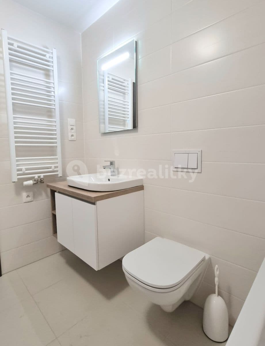 Pronájem bytu 1+kk 39 m², U Mlýnského kanálu, Praha, Praha Pronájem bytu 1+kk 39 m², U Mlýnského kanálu, Praha, Praha