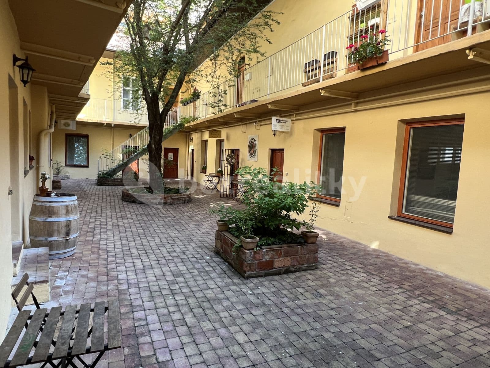 Pronájem kanceláře 41 m², Pekařská, Brno, Jihomoravský kraj Pronájem kanceláře 41 m², Pekařská, Brno, Jihomoravský kraj