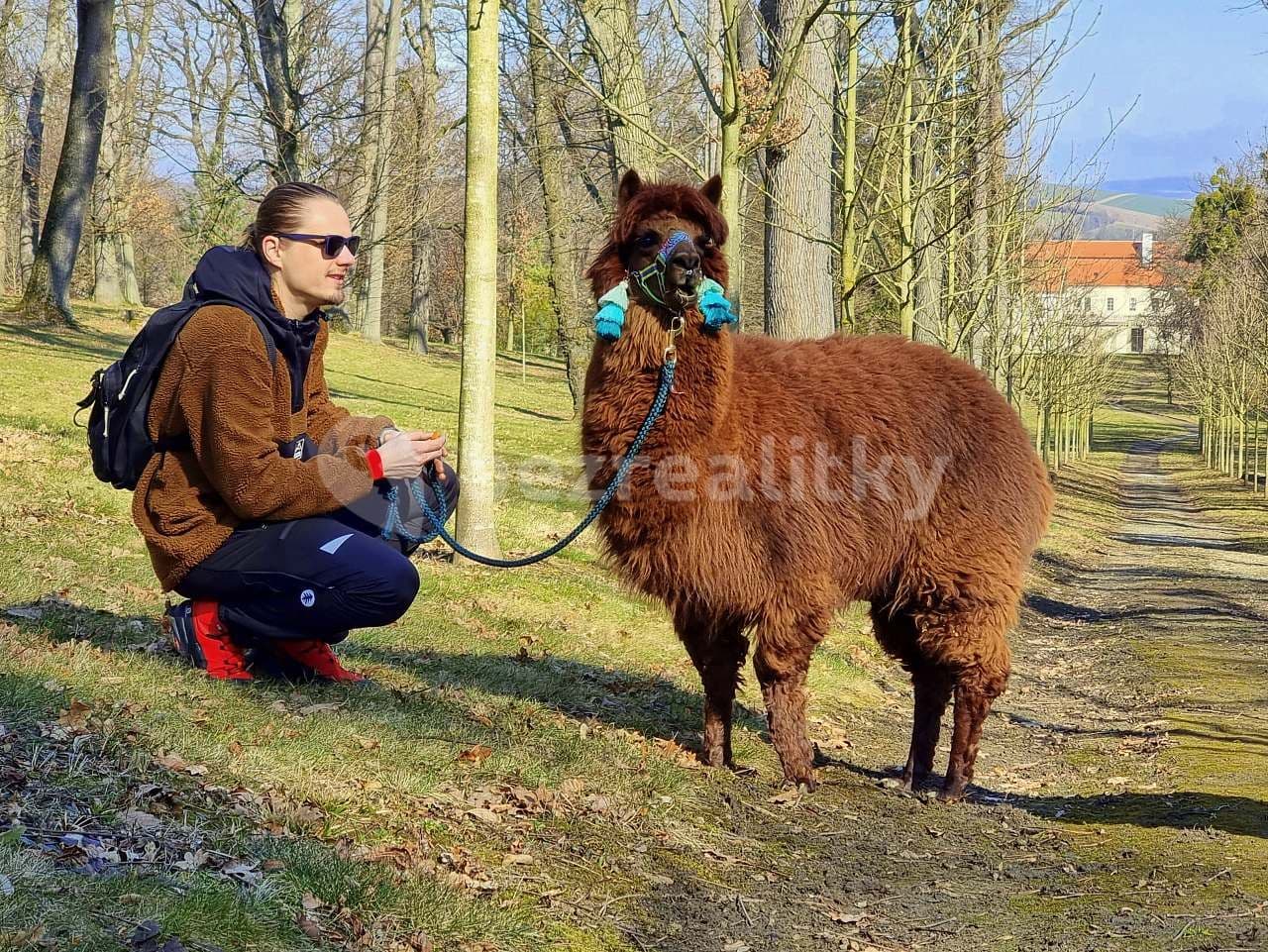 Pronájem chaty, chalupy, Koryčany, Zlínský kraj Pronájem chaty, chalupy, Koryčany, Zlínský kraj
