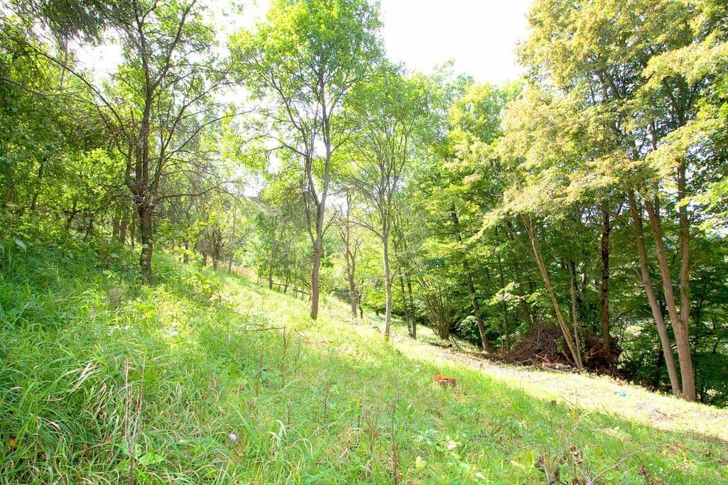 Prodej pozemku 2.406 m², Skalsko, Středočeský kraj Prodej pozemku 2.406 m², Skalsko, Středočeský kraj