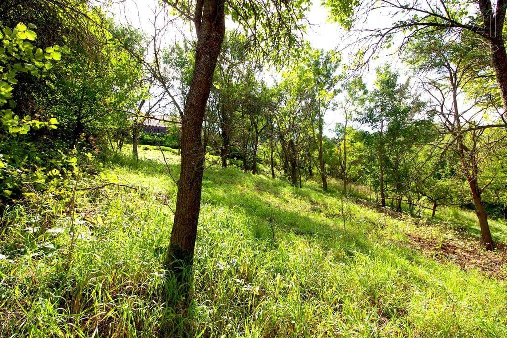 Prodej pozemku 2.406 m², Skalsko, Středočeský kraj Prodej pozemku 2.406 m², Skalsko, Středočeský kraj