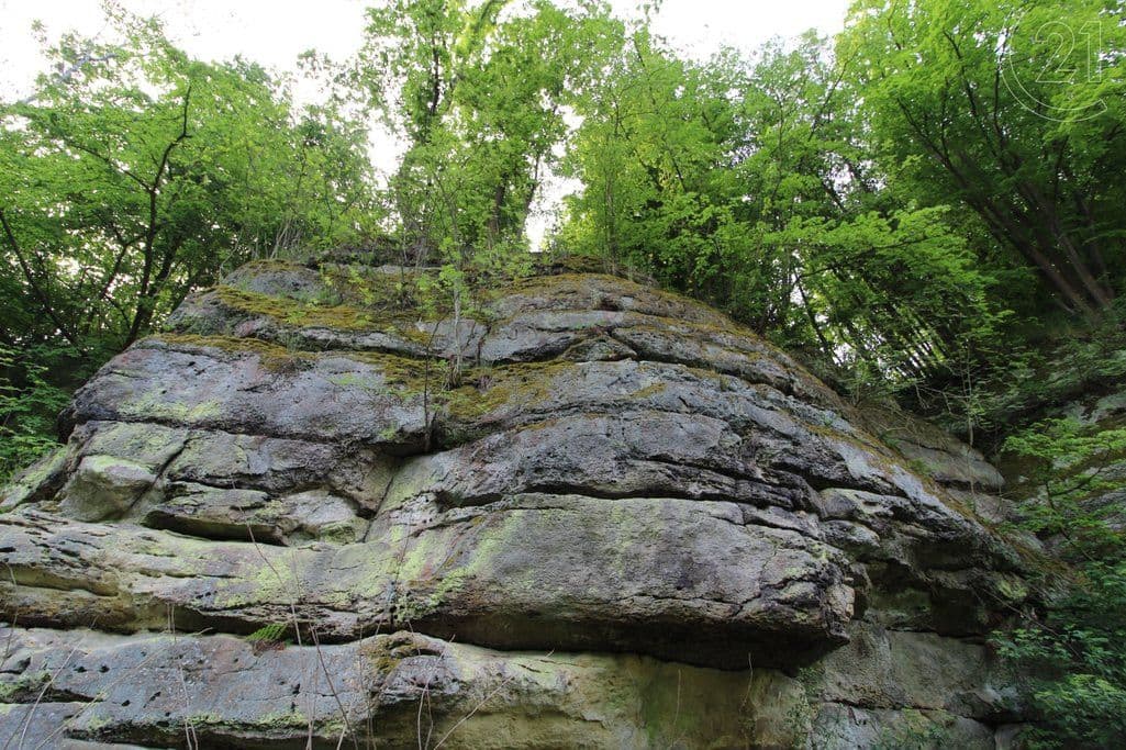 Prodej pozemku 2.406 m², Skalsko, Středočeský kraj Prodej pozemku 2.406 m², Skalsko, Středočeský kraj