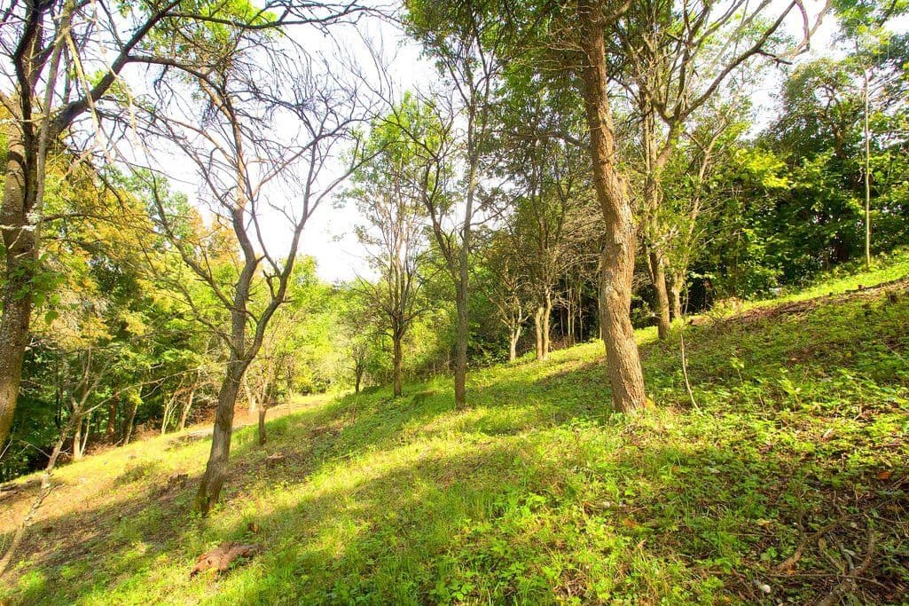 Prodej pozemku 2.406 m², Skalsko, Středočeský kraj Prodej pozemku 2.406 m², Skalsko, Středočeský kraj