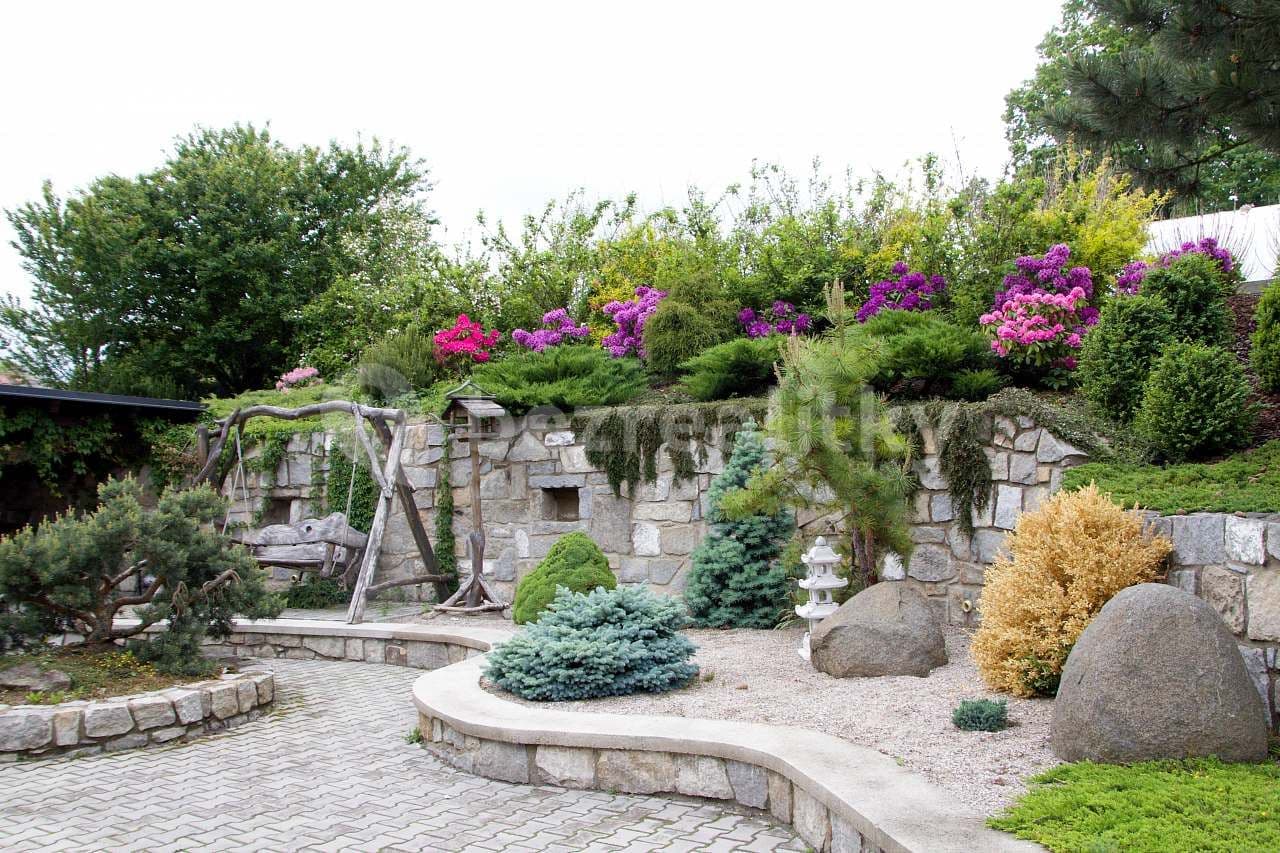 Pronájem chaty, chalupy, Černá Voda, Olomoucký kraj Pronájem chaty, chalupy, Černá Voda, Olomoucký kraj