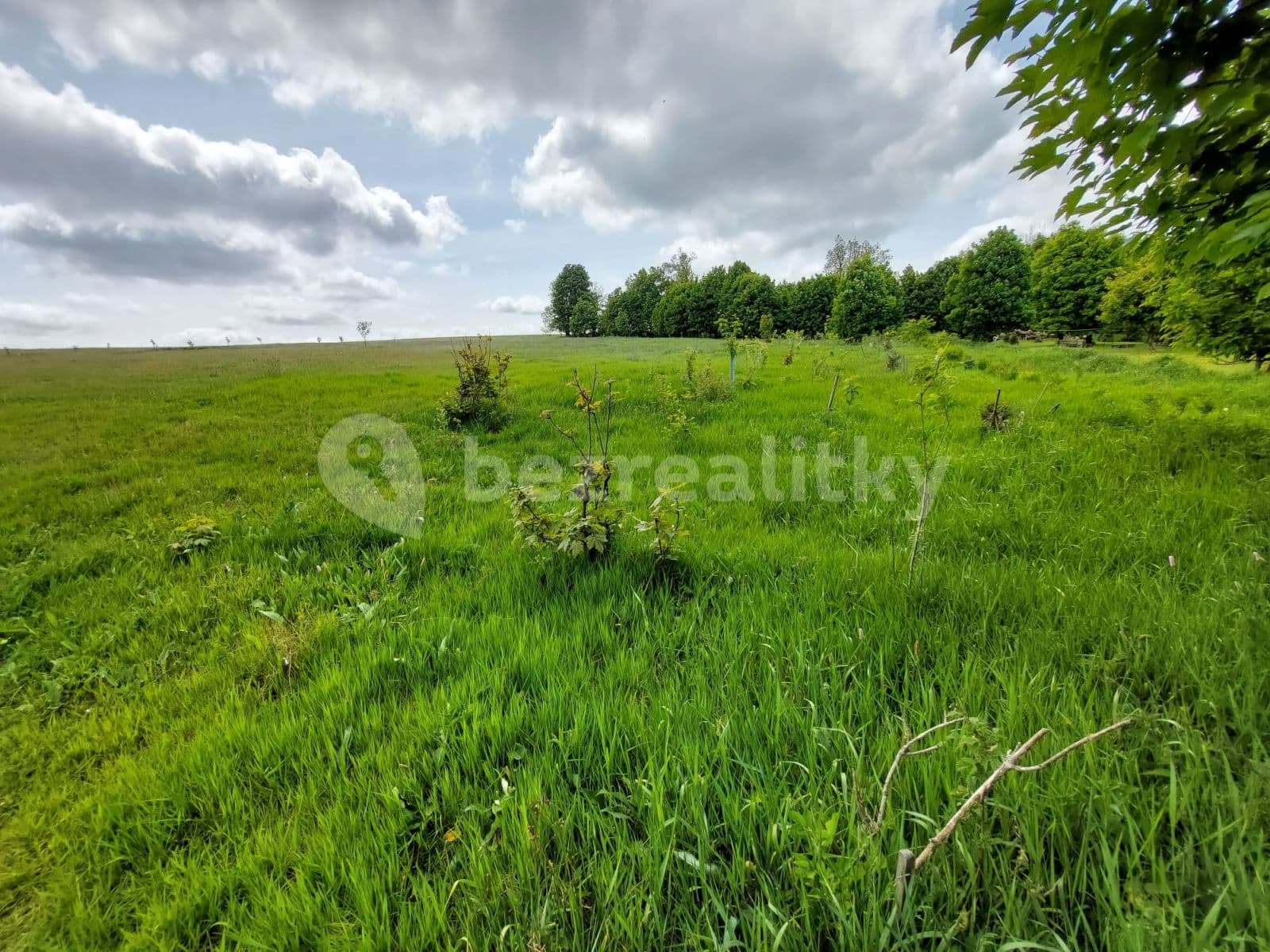 Prodej pozemku 9.500 m², Petrovice, Ústecký kraj