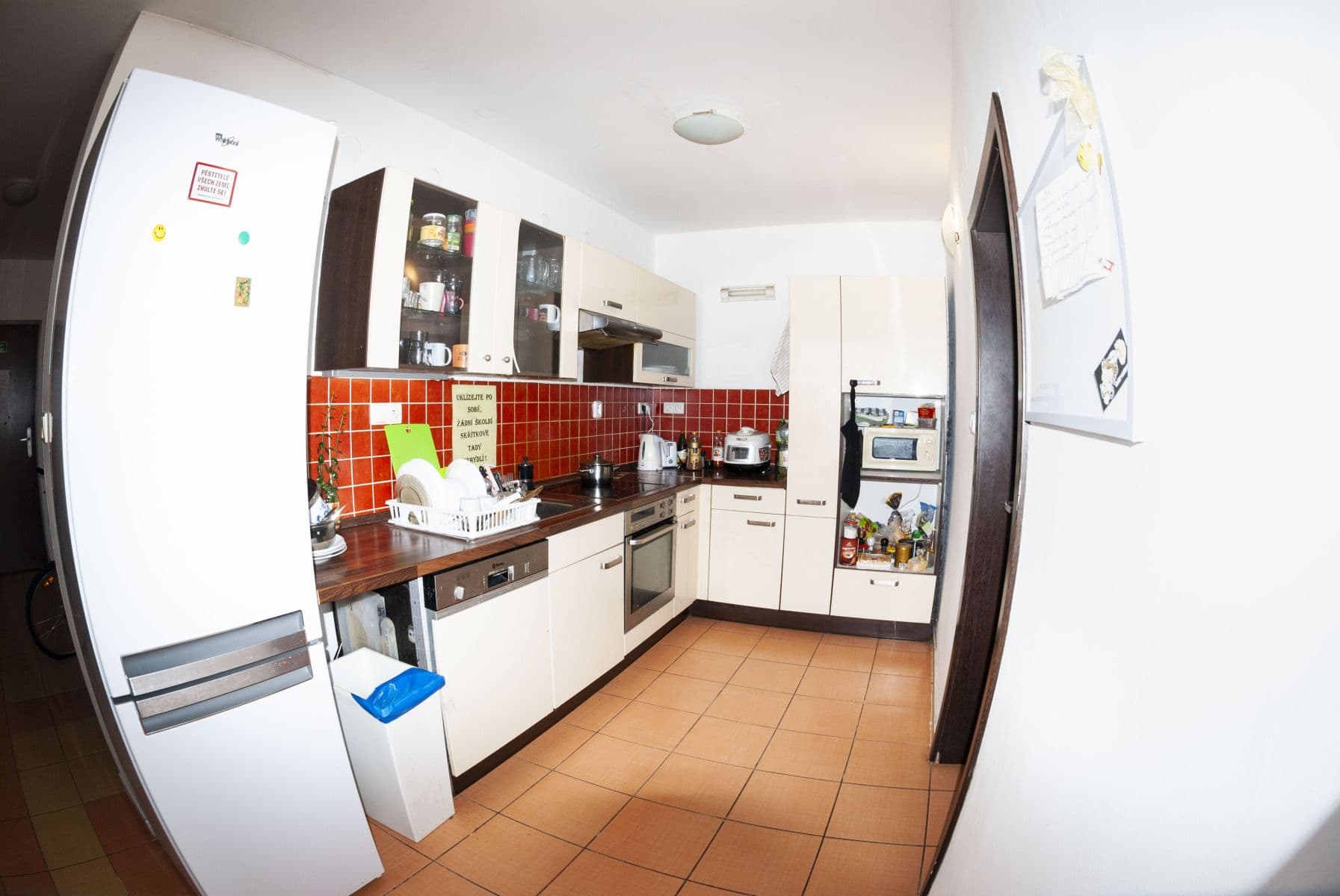 Pronájem bytu 1+1 35 m², Spolková, Brno, Jihomoravský kraj Pronájem bytu 1+1 35 m², Spolková, Brno, Jihomoravský kraj