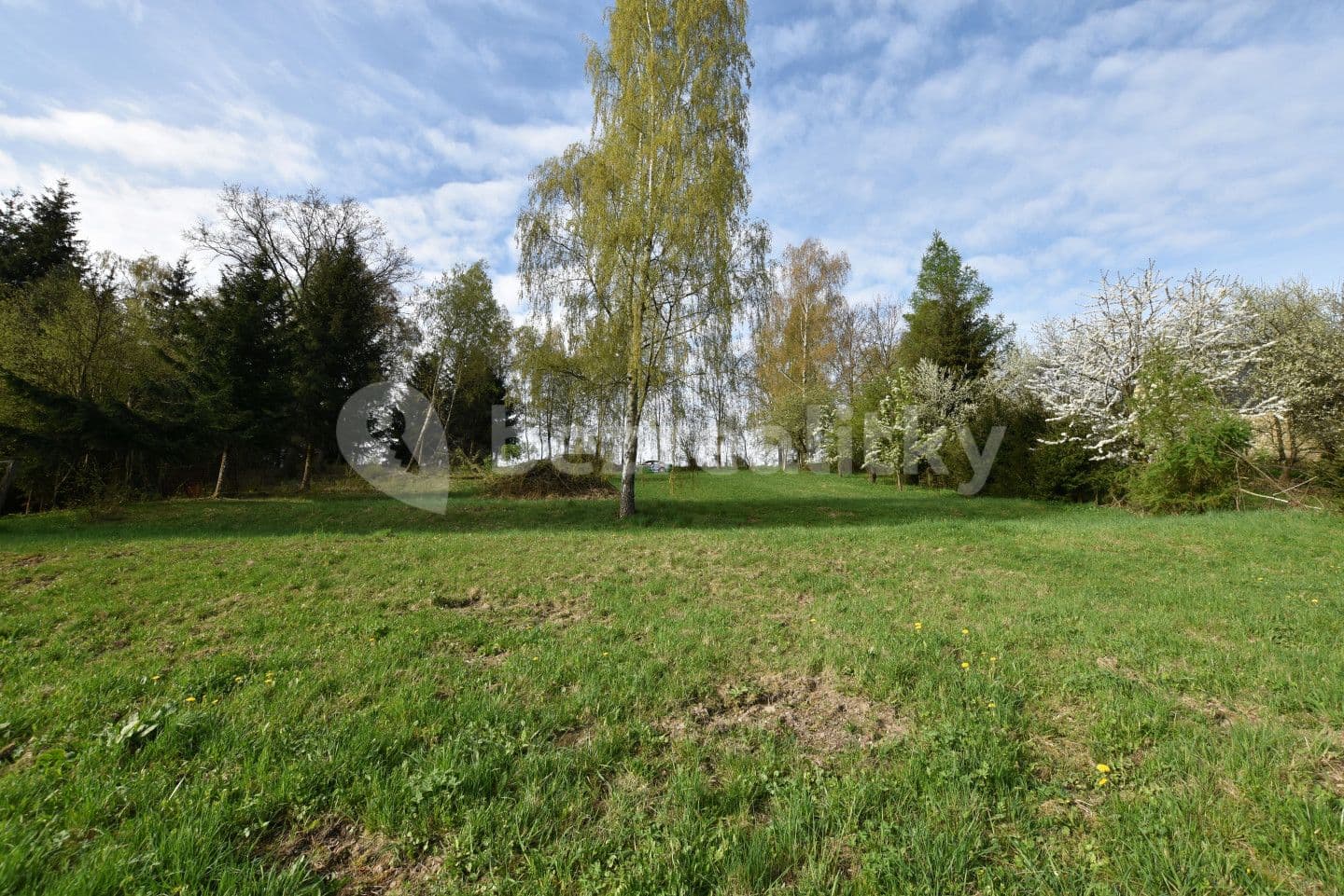 Prodej pozemku 2.421 m², Brzice, Královéhradecký kraj