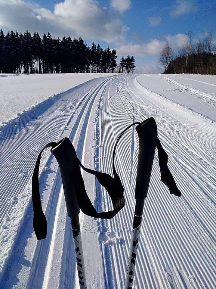 Pronájem chaty, chalupy, Skuhrov, Liberecký kraj Pronájem chaty, chalupy, Skuhrov, Liberecký kraj