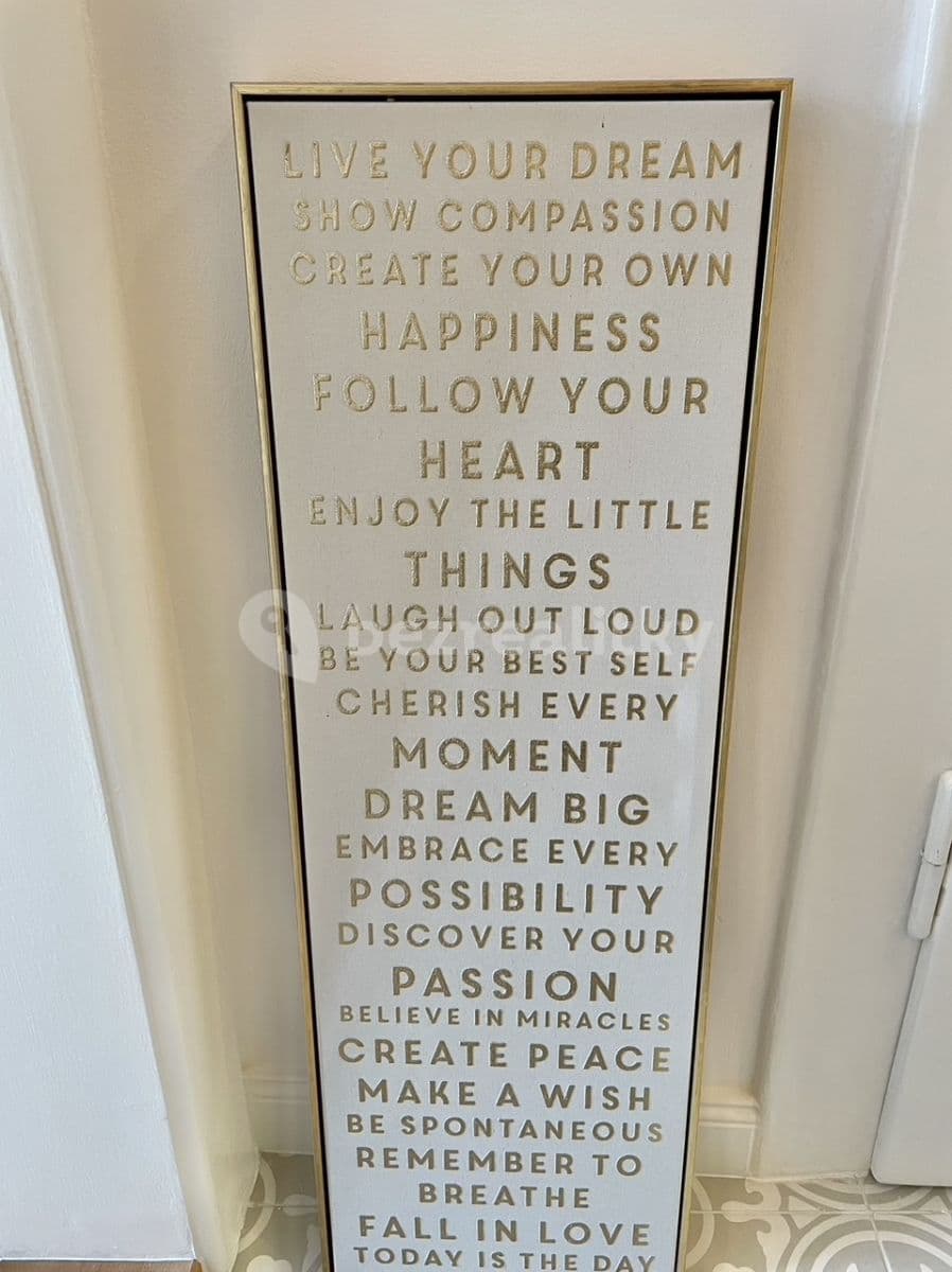 Pronájem bytu Garsoniéra 28 m², Baranova, Praha, Praha Pronájem bytu Garsoniéra 28 m², Baranova, Praha, Praha