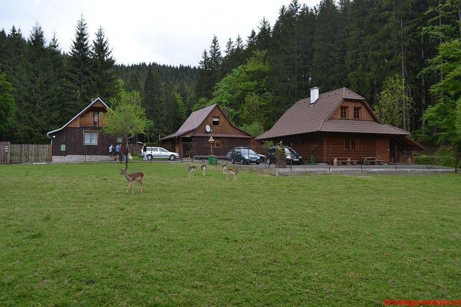 Pronájem chaty, chalupy, Velké Karlovice, Zlínský kraj Pronájem chaty, chalupy, Velké Karlovice, Zlínský kraj