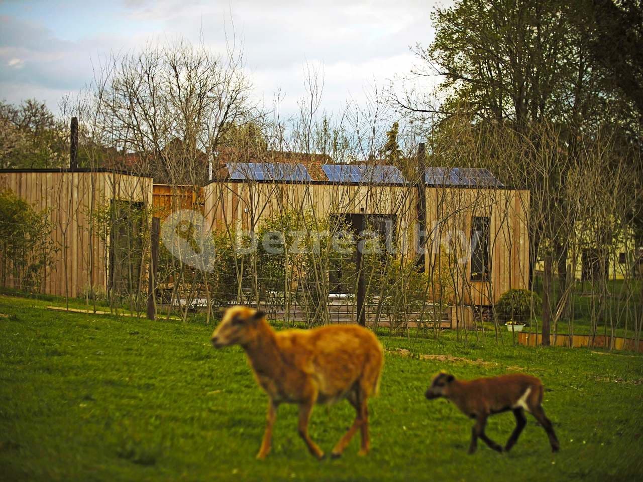 Pronájem chaty, chalupy, Vysoká u Příbramě, Středočeský kraj Pronájem chaty, chalupy, Vysoká u Příbramě, Středočeský kraj