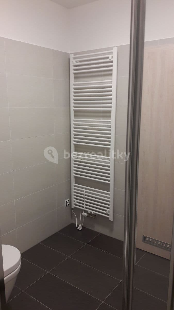 Pronájem bytu 1+kk 45 m², Dobnerova, Olomouc, Olomoucký kraj Pronájem bytu 1+kk 45 m², Dobnerova, Olomouc, Olomoucký kraj