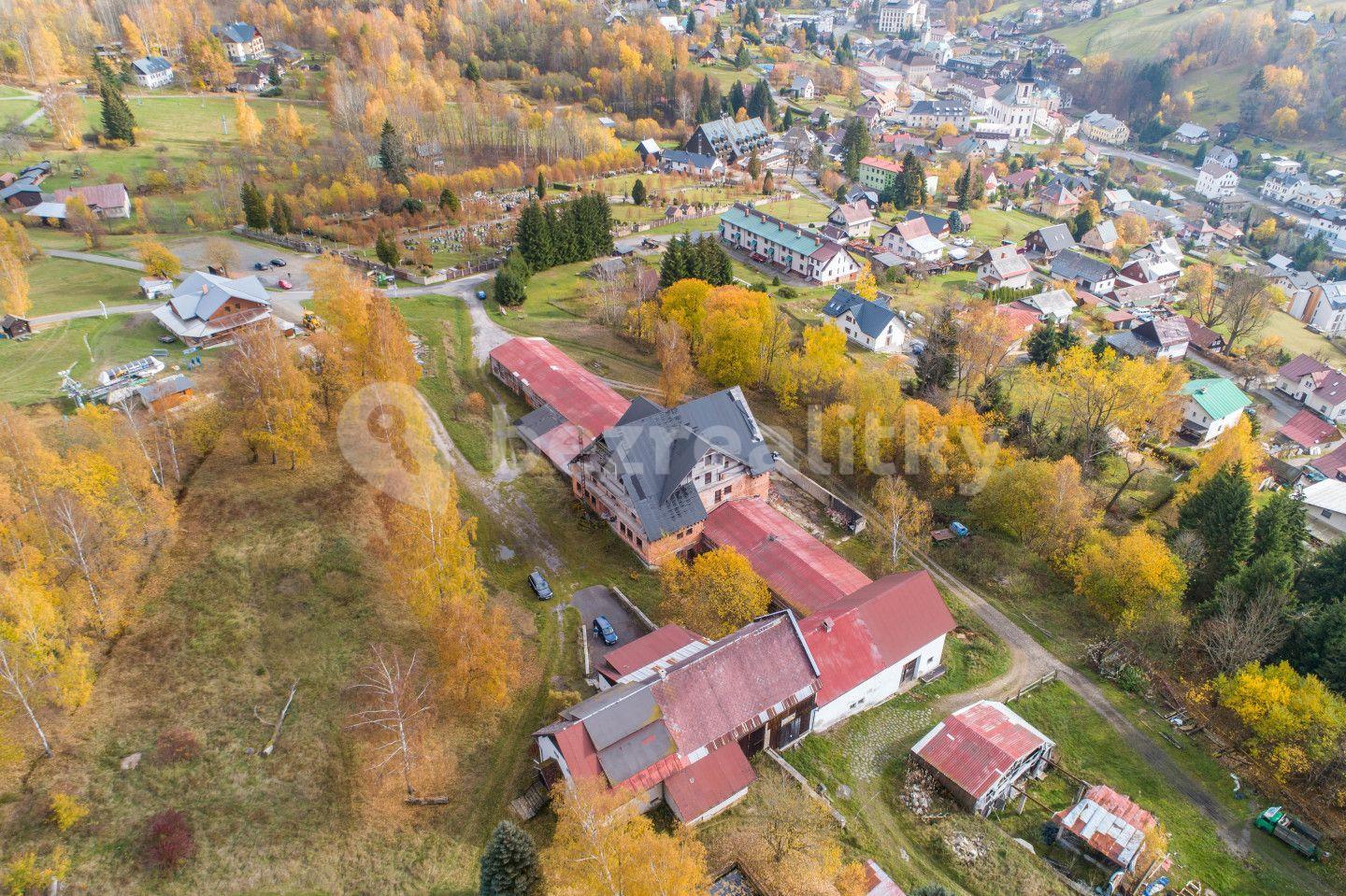 Prodej nebytového prostoru 350 m², Rokytnice nad Jizerou, Liberecký kraj