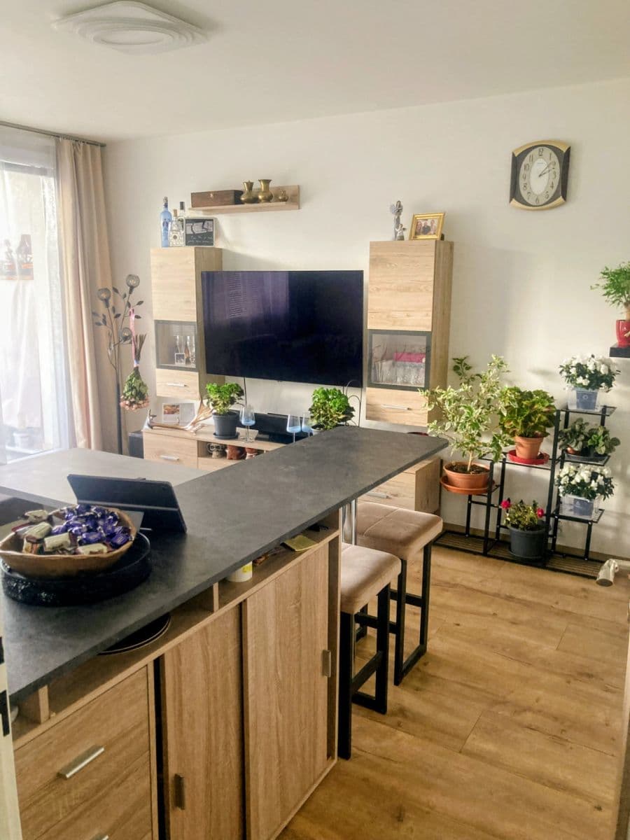 Pronájem bytu 2+1 46 m², V Křovinách, Praha, Praha Pronájem bytu 2+1 46 m², V Křovinách, Praha, Praha