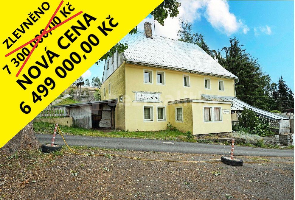 Prodej nebytového prostoru 1.004 m², Andělská, Pernink, Karlovarský kraj
