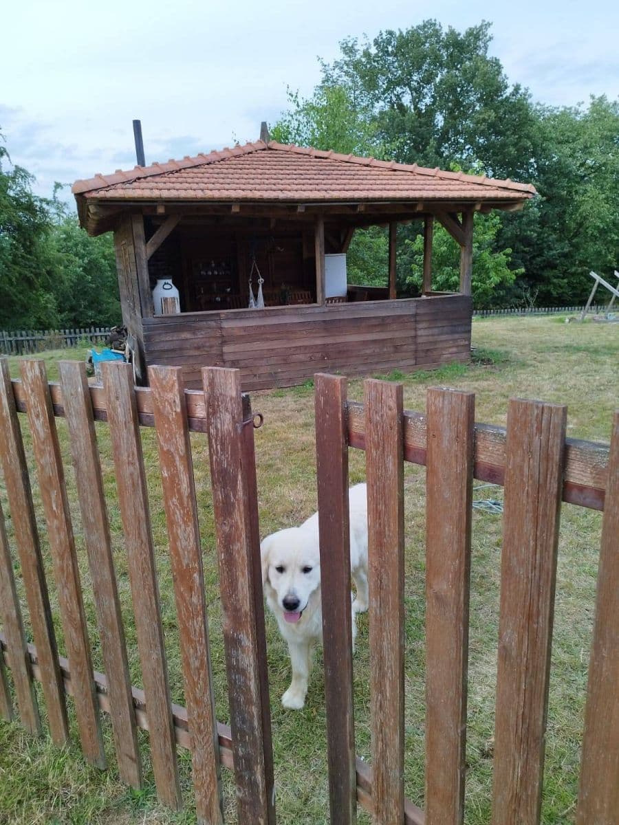Pronájem chaty, chalupy, Červená Řečice, Kraj Vysočina Pronájem chaty, chalupy, Červená Řečice, Kraj Vysočina